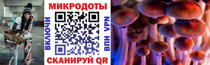 наркотики Луза Псилоцибиновые грибы ЛСД